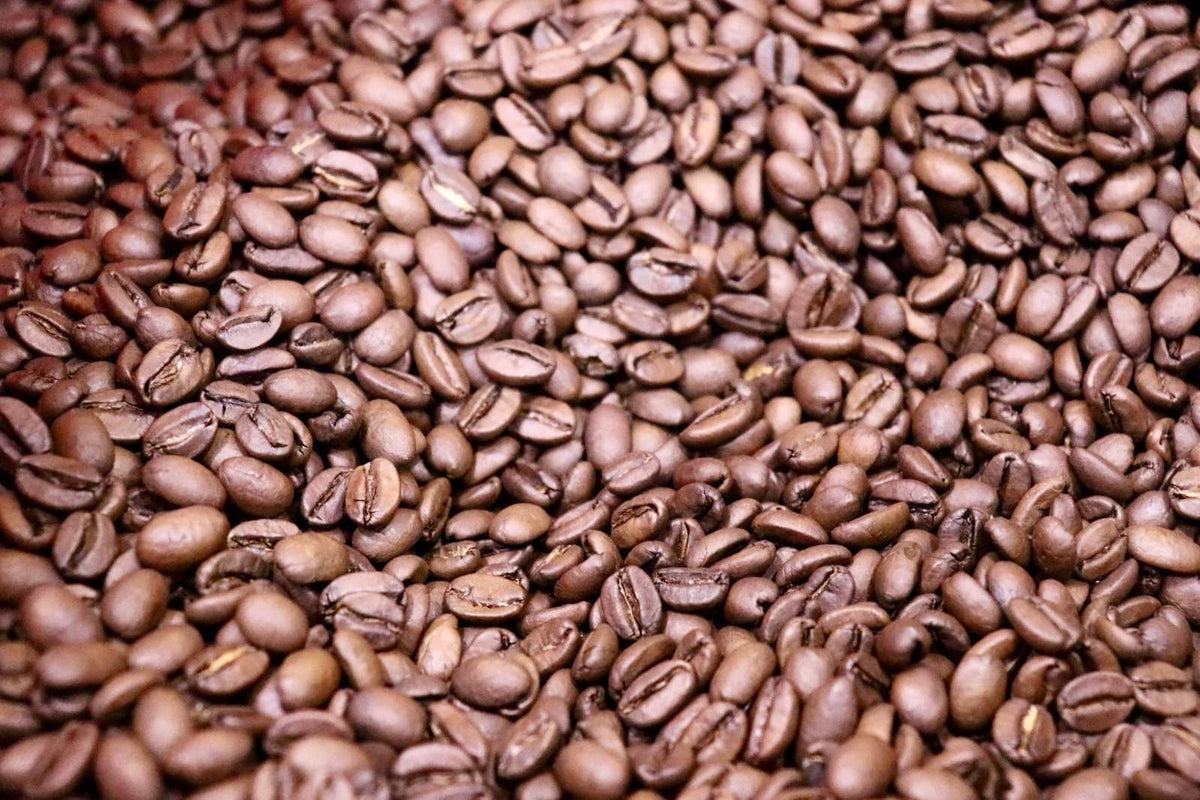 Guadalupe Roastery, Award-Winning Natural Parainema 2026